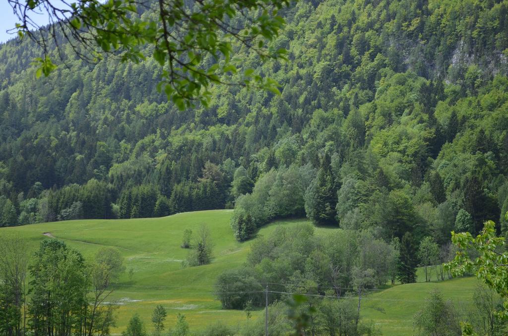 Вилла Bauernhof Konig Anger  Экстерьер фото